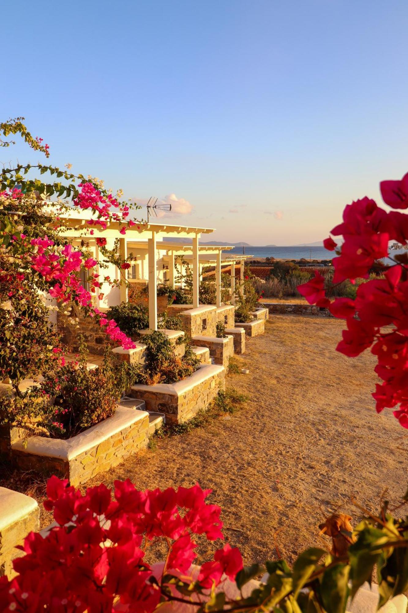 Sunny Studios Naxos Aliko Beach Exterior photo